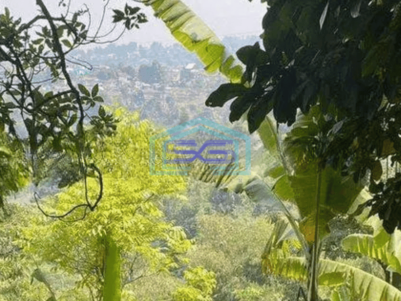 Dijual tanah akses mobil kawasan sejuk Ciumbuleuit Atas ( Punclut )