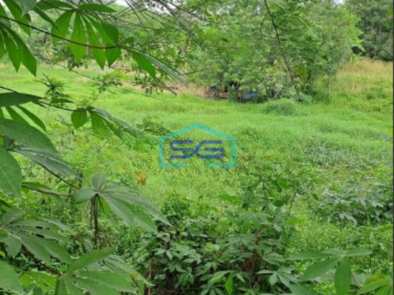 Dijual Tanah Strategis di Batu Jajar Ci Gudeg Bogor Luas Tanah 46000m2