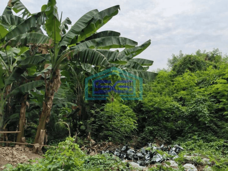 Disewa Tanah Kosong 1500 Meter di Sunter Jakarta Utara