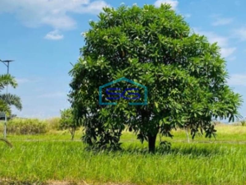 Dijual Tanah Kavling Bebas Banjir di Karawang Luas Tanah 35187m²