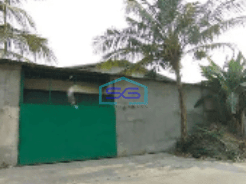 Disewakan Gudang Peternakan Kapuk Jakarta Utara Siap Pakai Luas 168m2 Akses 40 Ft