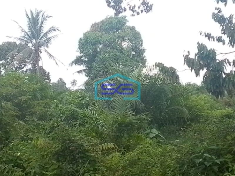 Dijual Tanah Siap Bangun di Sei Selincah Palembang Luas Tanah 24224m2