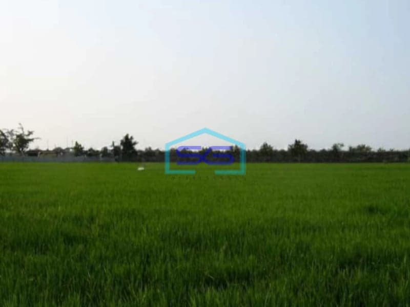 Dijual Tanah Zona Kuning Di Jl Raya Cabangbungin Kabupaten Bekasi LT 40527m2