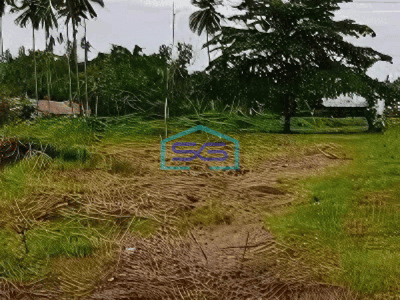Dijual Tanah Luas 3,4Ha Di Pinggir Jalan Raya Sawangan Manado Minahasa