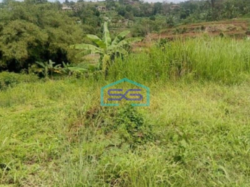 Dijual Tanah Jalan Terobosan Cipayung Puncak Megamendung Bogor LT 2500m2