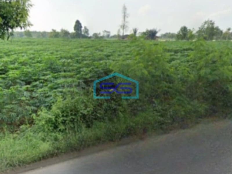 Dijual Tanah Premium di Gunung Sugih, Lampung Tengah Luas Tanah 14000m2