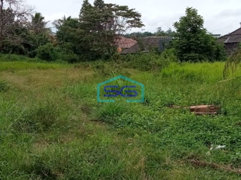 Dijual Tanah Keras Muara Siban Lahat Sumatera Selatan LT 4000m2
