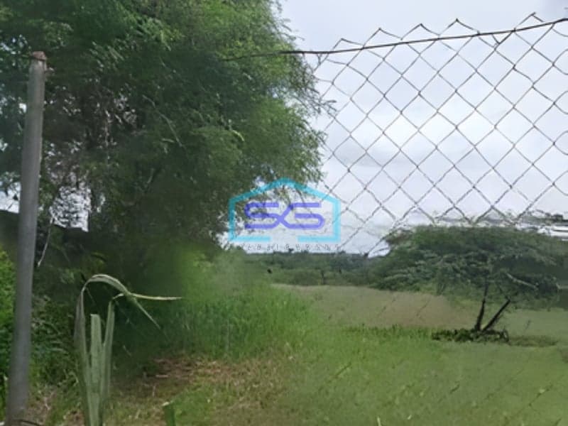 Disewakan Tanah Luas 4 Hektar Di Area Industri Gunung Sindur Bogor