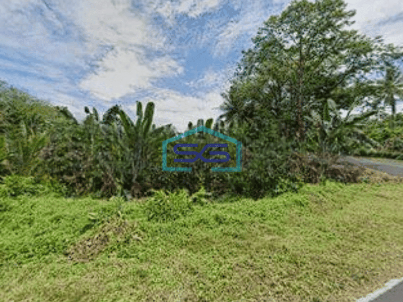 Dijual Tanah di Jl Raya Manado Wori LT 700000m2