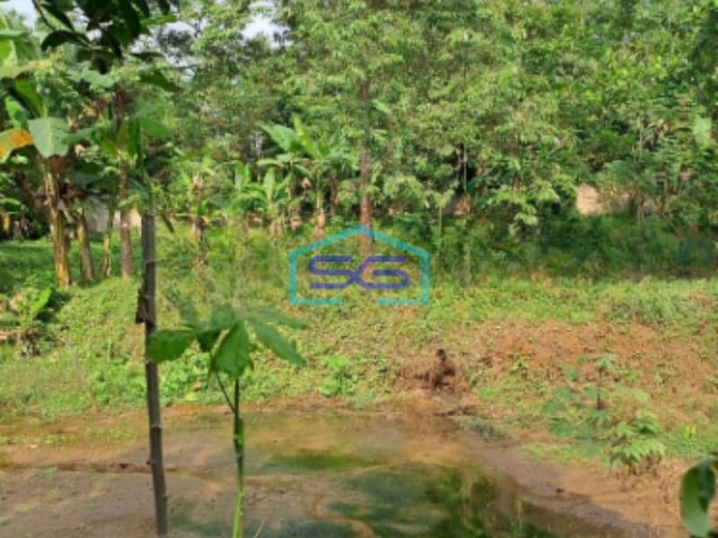 Dijual Tanah di Desa Cibodas Rumpin Bogor Jawa Barat Luas Tanah 3800m2