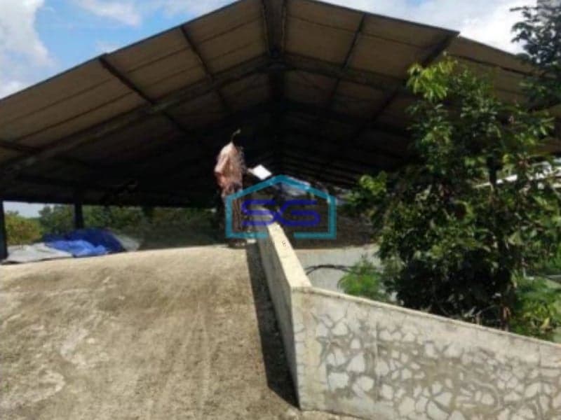 Dijual Lelang Workshop Gudang Kecil Di Serang Baru Cikarang Selatan Bekasi LB 1251m2