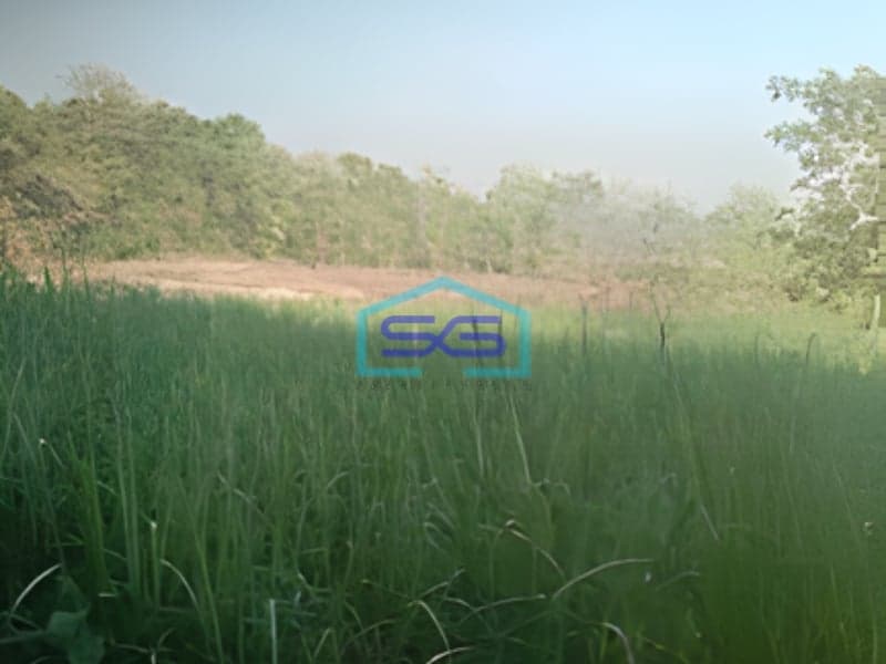 Dijual Lahan Zona Kuning Luas Tanah 40000m2 Lokasi Sukodono Sragen Jawa Tengah