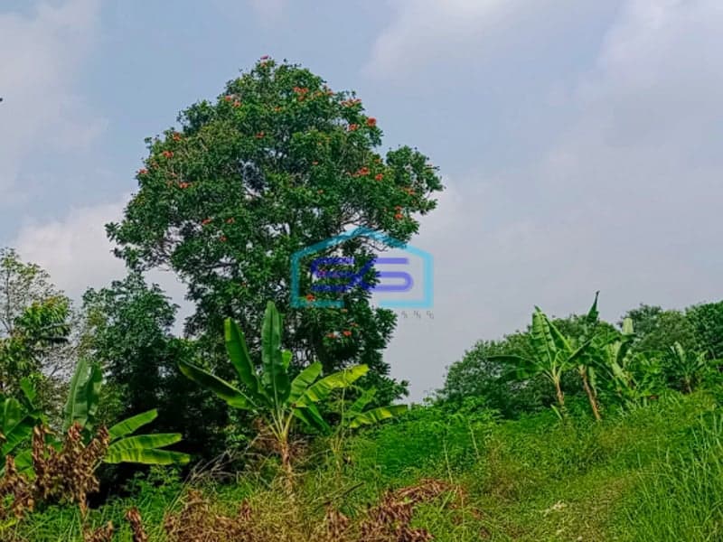 Dijual Tanah Keras Siap Bangun Soak Simpur Sukabangun Palembang Luas 3000m2