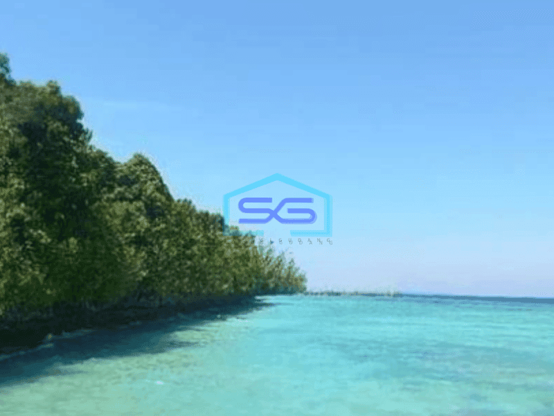 Dijual Tanah di Maratua Kalimantan Timur Luas 30000m²