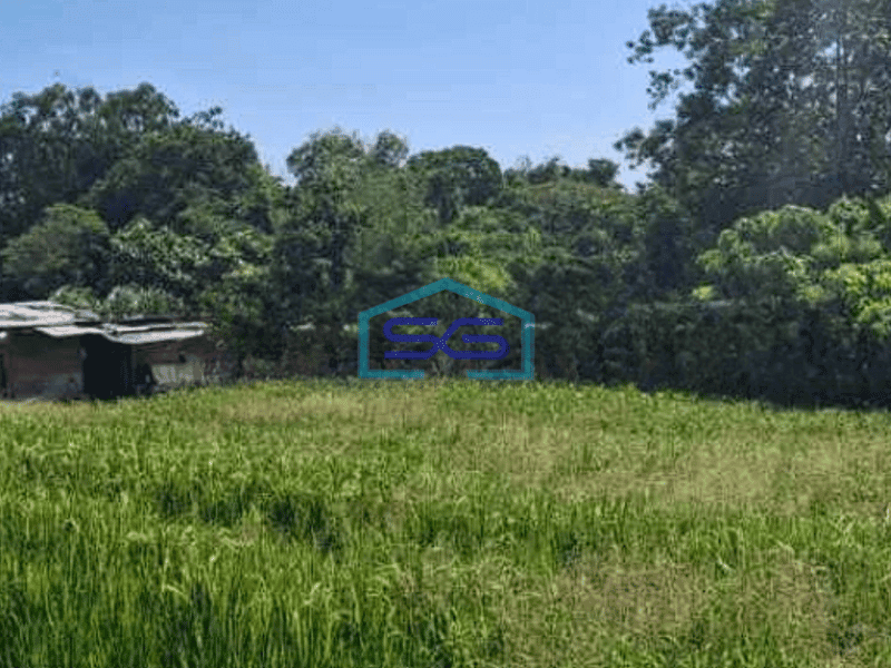 Disewakan Tanah Komersil Resident Area Pererenan Badung Bali Luas 5500m2