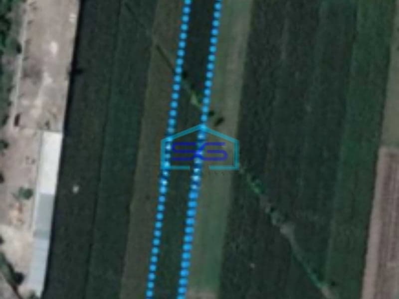 Dijual Tanah Sawah Di Mlese, Ceper, Klaten, Jawa Tengah Luas Tanah 1950 m²