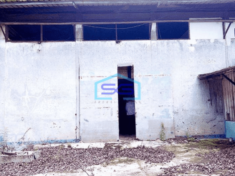 Dijual Termurah Gudang Dan Tanah Luas 3700m2 Jl Kapuk Kayu Besar Jakarta Barat