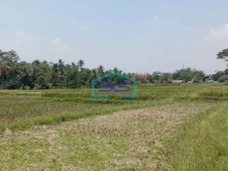 Dijual Tanah di Pinggir Jalan Raya Cibeber Leuwiliang Bogor LT 50000m2