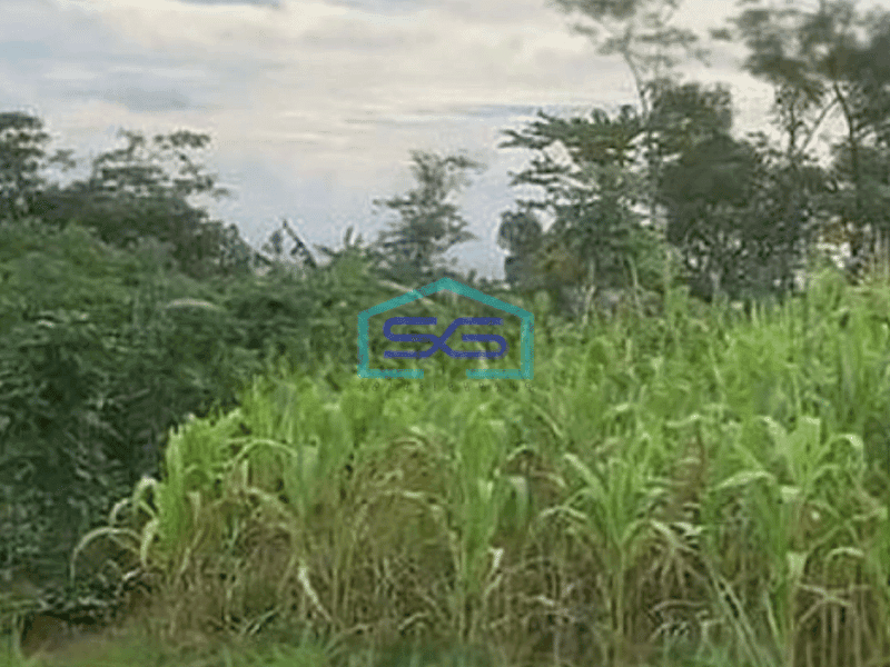 Dijual Tanah Cocok untuk gudang Batujajar Bandung Barat