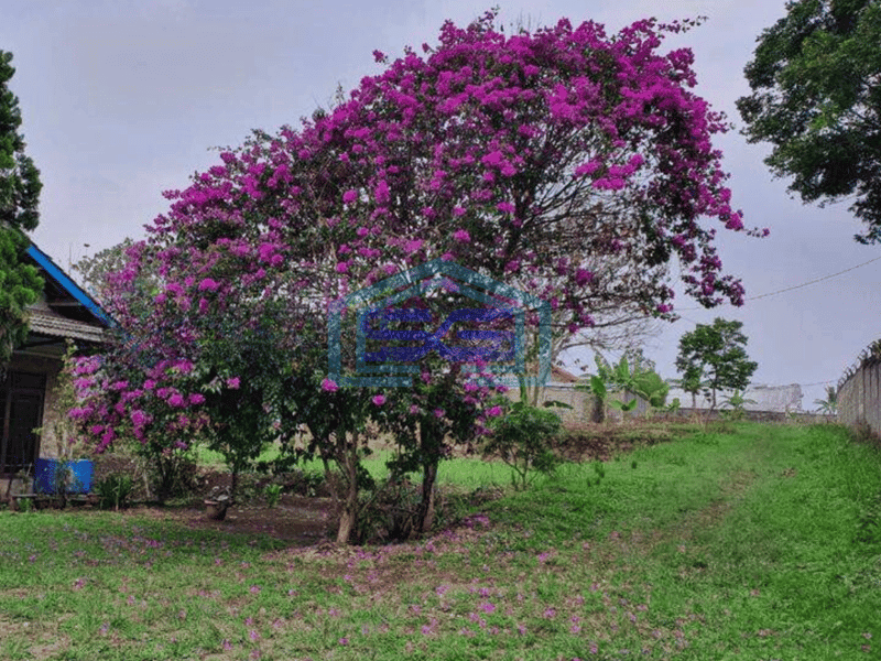 Dijual Tanah Mainroad Bisa Untuk Gudang di Parakan Muncang
