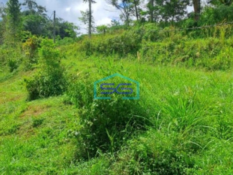 Dijual Tanah di Jalan Terobosan Cipayung Megamendung Bogor LT 120000m2