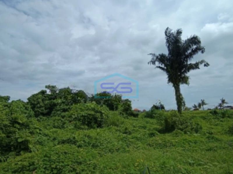 Dijual Tanah Murah Bebas Banjir Luas Tanah 8000m2 di Ubud Gianyar Bali