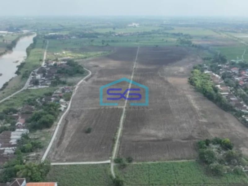 Dijual Tanah LT 270000m2 SHM Krembung Ngoro Mojokerto