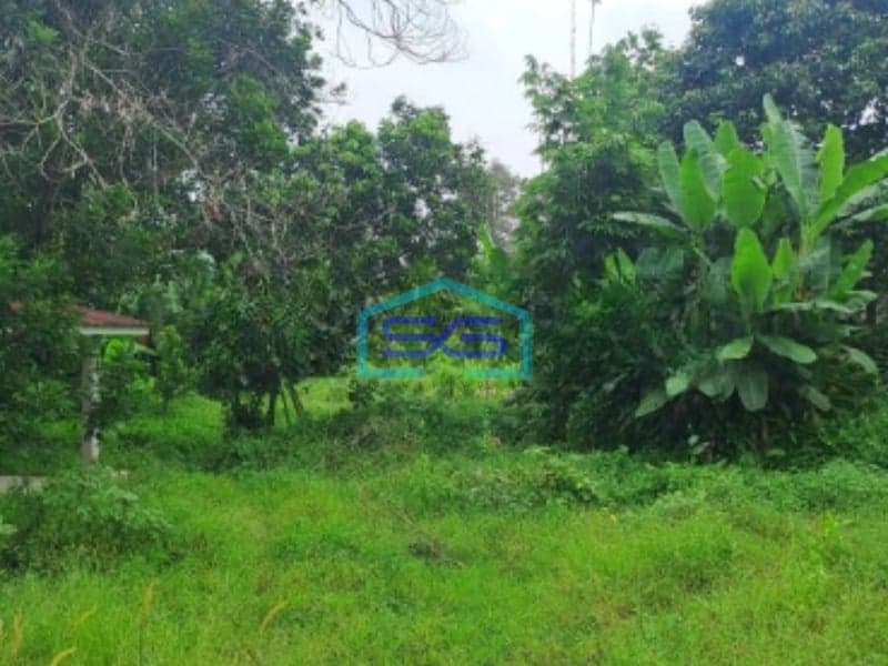 Dijual Tanah di Jalan Tegal Kemang Bogor Luas Tanah 3000m2