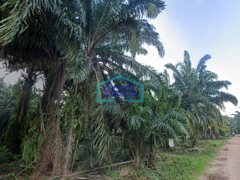 Dijual Tanah Luas 14000m2 Lokasi Siap Bangun di Jalan Tirto Mulyo Palembang