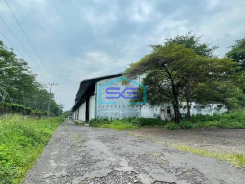 Dijual Gudang Murah Ngoro Mojokerto Jawa Timur Luas Tanah 42522m2 Harga Nego