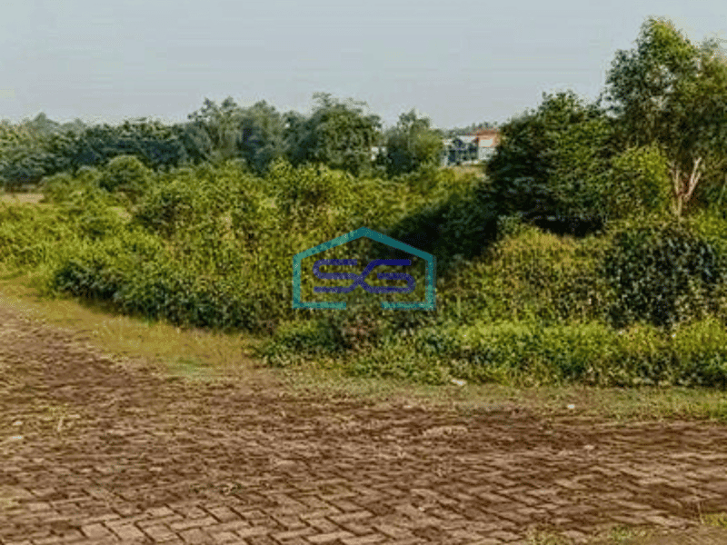 Dijual Tanah Luas 5 hektar lokasi di Daru Tigaraksa Tangerang