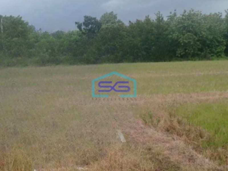 Dijual Tanah Luas 10445 m² Lokasi Bojonegoro Jawa Timur