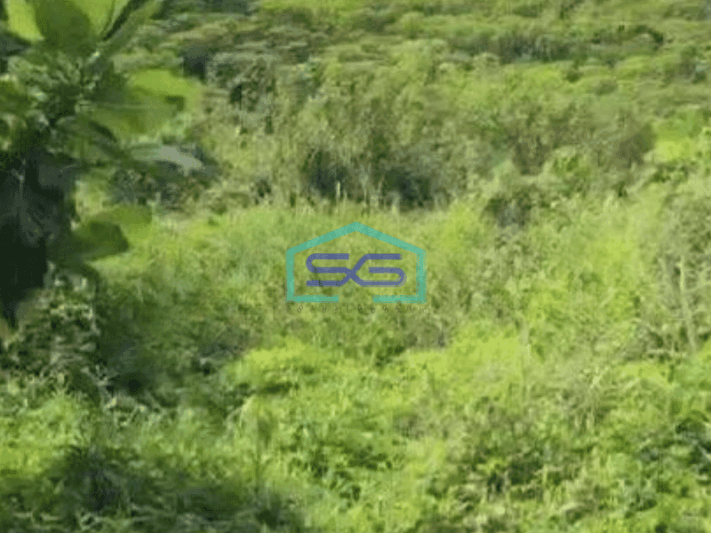 Dijual Tanah Murah Luas 100000 m² Lokasi Strategis di Sentul Bogor