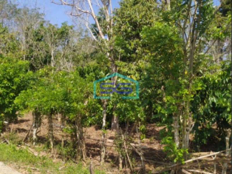 Dijual Tanah Strategis di Pinggir Jalan Lahat Sumatera Selatan Luas Tanah 12651m2