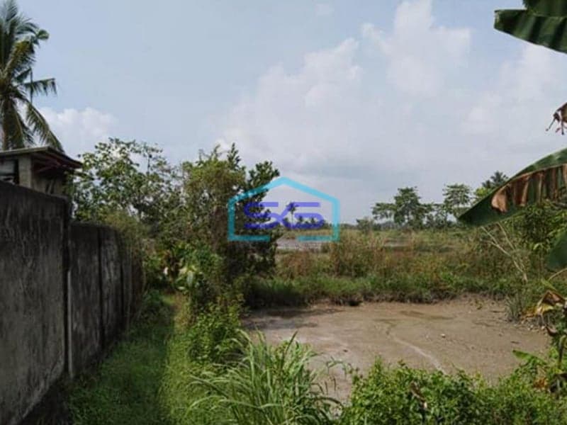 Dijual Tanah Strategis Luas 429.449m2 di Pinggir Jalan Sungai Musi Jalan Mata Merah Pusri Palembang