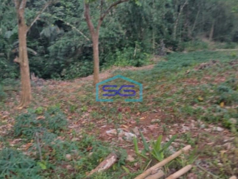 Dijual Tanah di Mekarsari Rumpin Bogor Luas Tanah 1700m2