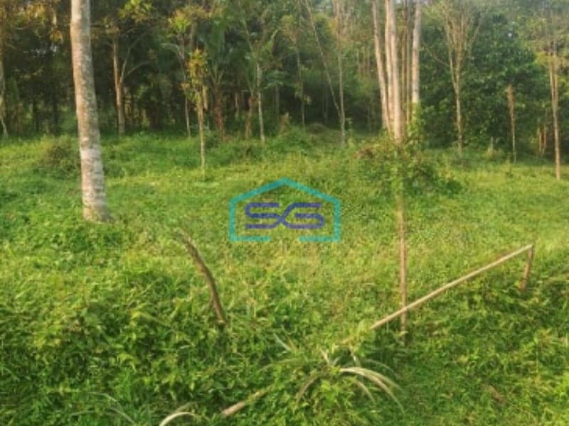 Dijual Tanah Di Parig Nanggung Bogor Luas Tanah 200000m2