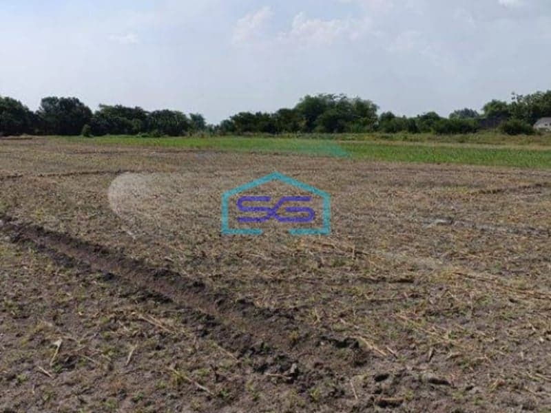 Dijual Cepat Tanah Gudang Industri Ngoro Jombang LT 80000m2