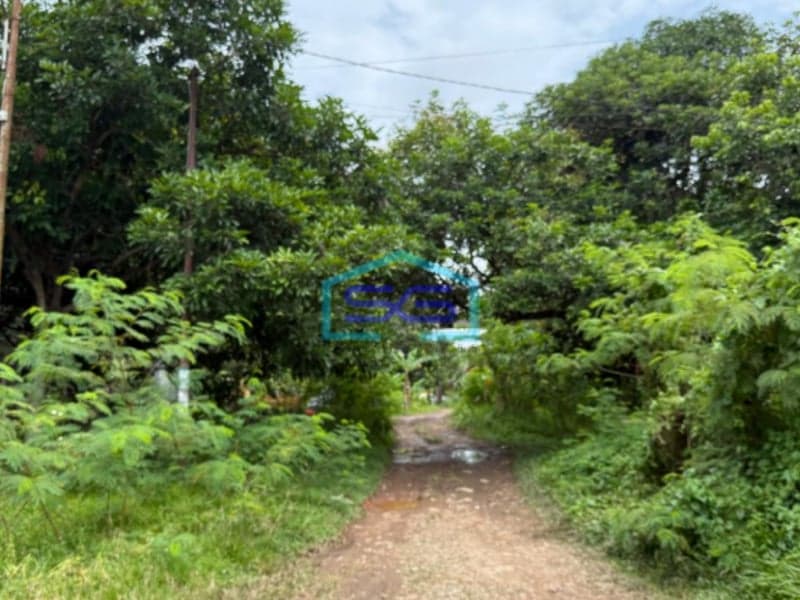 Dijual Tanah Siap Bangun Kolonel  H. Burlian Jalur Emas Bisnis Palembang Sumatera Selatan LT 8901m2