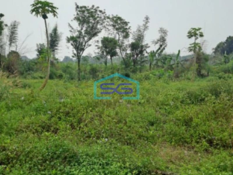 Dijual Tanah Sangat Bagus di Ciseeng Bogor Luas Tanah 90000m2