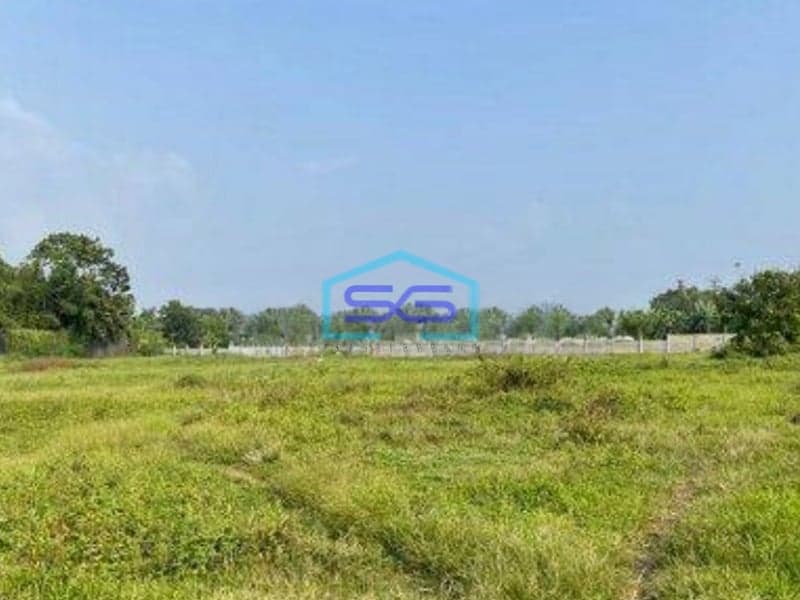 Dijual Tanah Cikupa Tanggerang Luas 8100m2