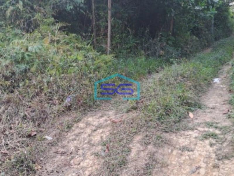 Dijual Tanah Suka Yaya Jonggol Bogor Luas Tanah 170000m2