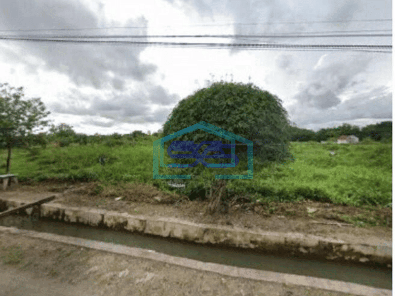 DIJUAL TANAH STRATEGIS DEKAT KAMPUS DI SLEMAN JOGJA