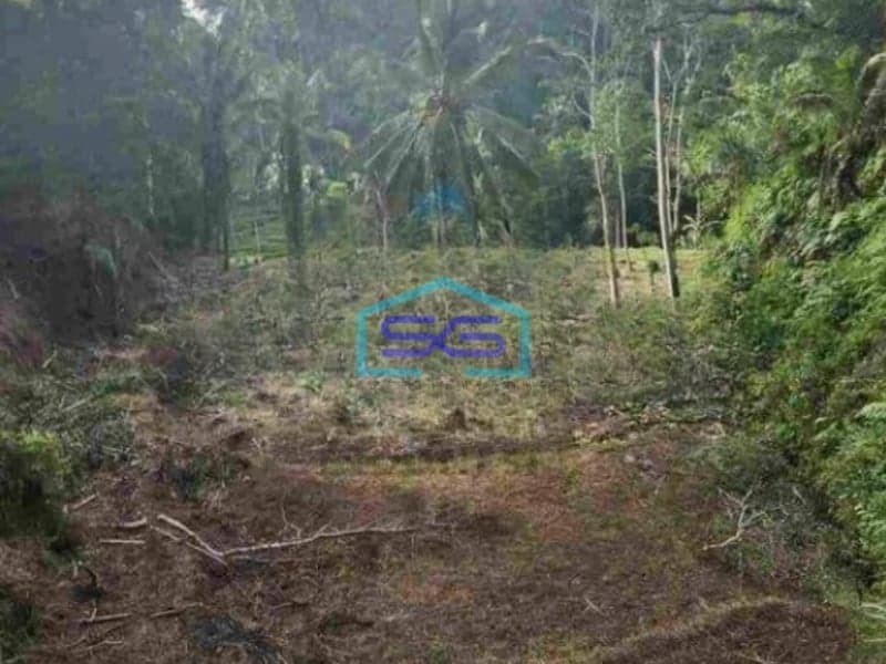 Dijual Murah Tanah di Ubud Bali LT 6400m2
