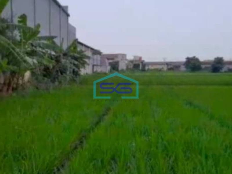 Dijual Tanah Siap Bangun Di Serang Banten Luas Tanah 8 Hektar