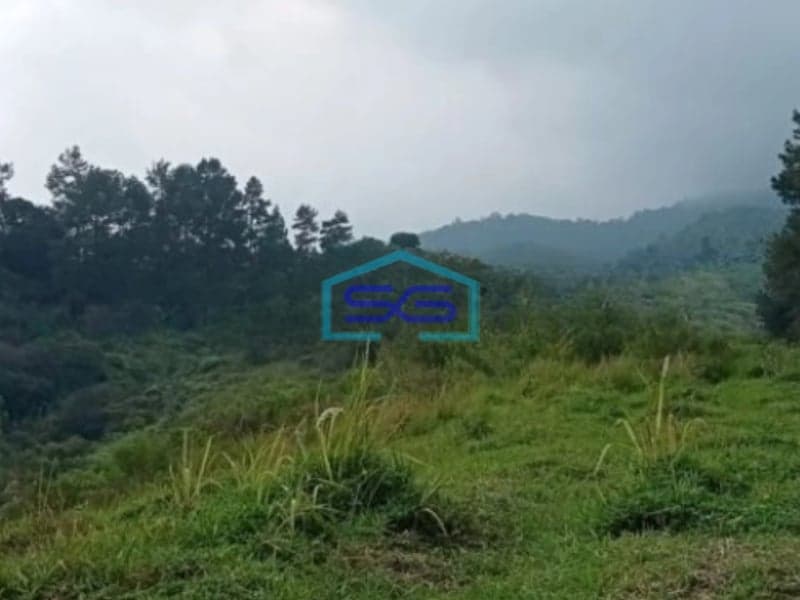 Dijual Tanah di Daerah Cidahu Sukabumi Luas Tanah 15000m2