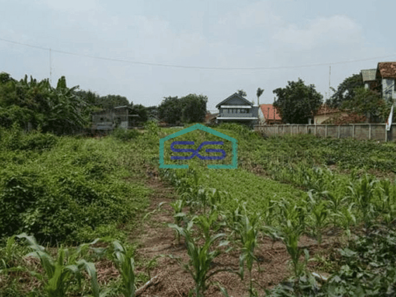 Dijual Tanah Eks Pabrik Dan Sawah Dekat Toll di Karawang Timur LT 43000m2