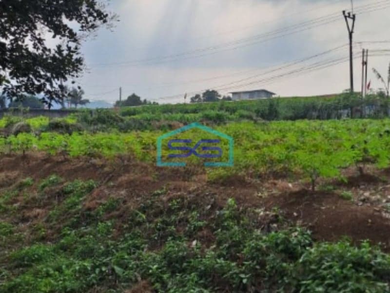 Dijual Tanah Ranca Bungur Bogor Jawa Barat Luas 50000m2