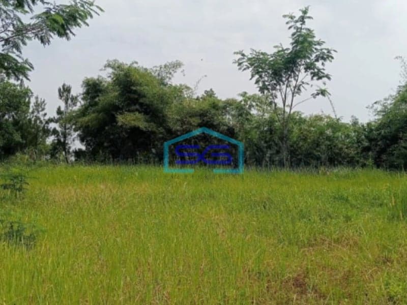 Dijual Tanah KP Wangun Depok Desa Karang Tengah Babakan Madang Bogor LT 10000m2