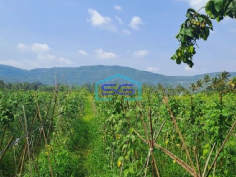 Dijual Tanah di Desa Kalong Liud Nanggung Bogor Luas 50000m2